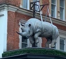 #RhinoUK #London